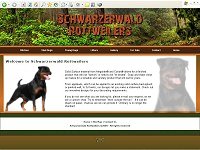 Schwarzerwald Rottweilers