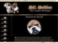 B.C. Bullies - Olde English Bulldogges