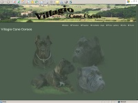 Villagio Cane Corsos 