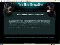 Vom Hunt Rottweilers